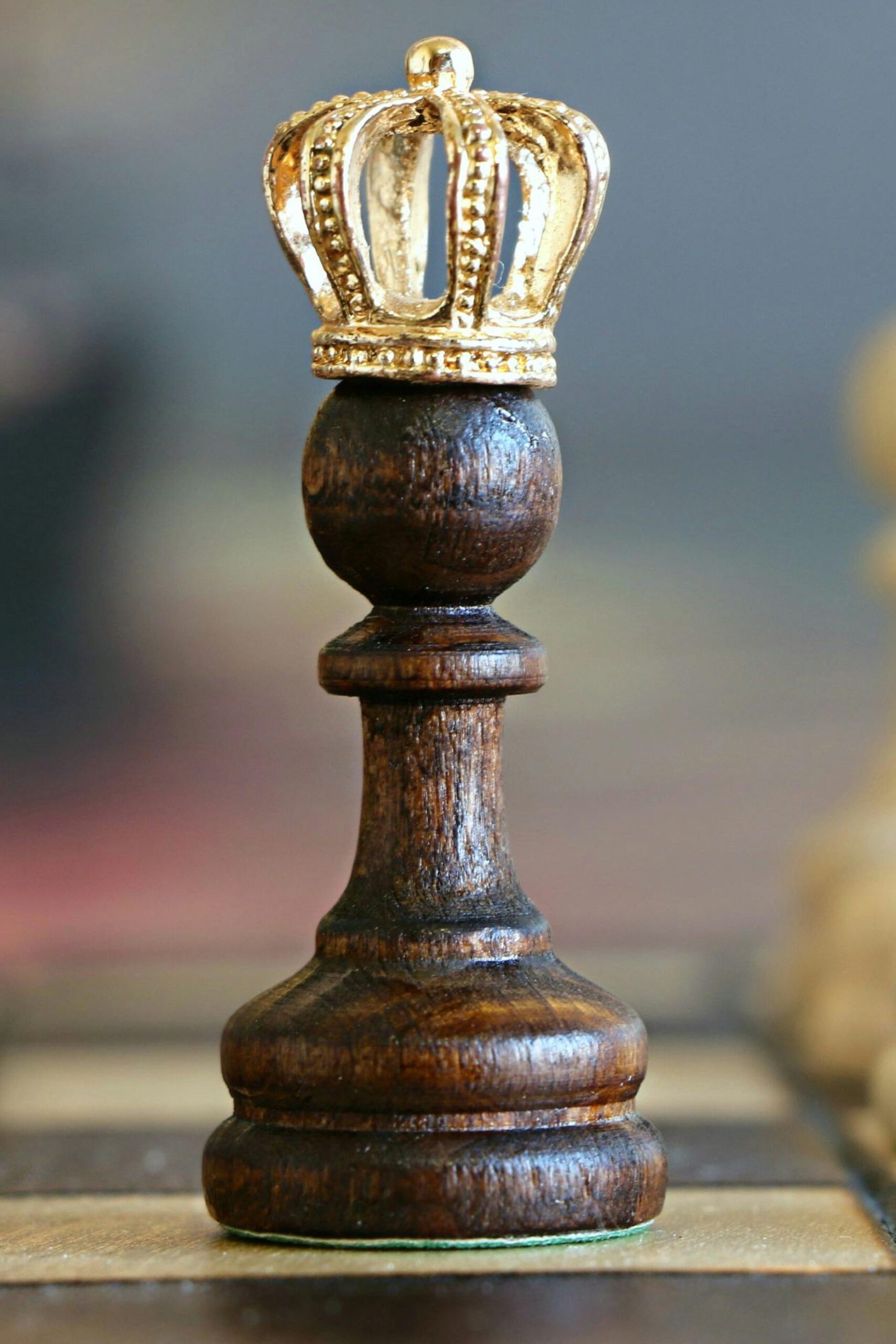 Topic - _14 - Gammification