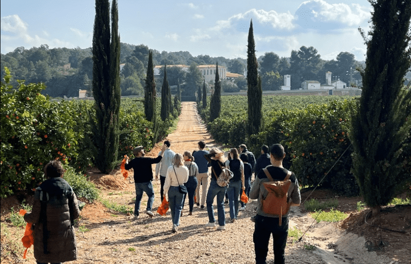 Huerto Ribera, Valencia
