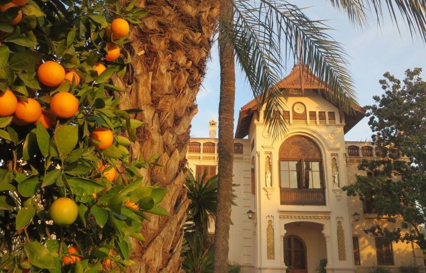 atardecer-huerto-san