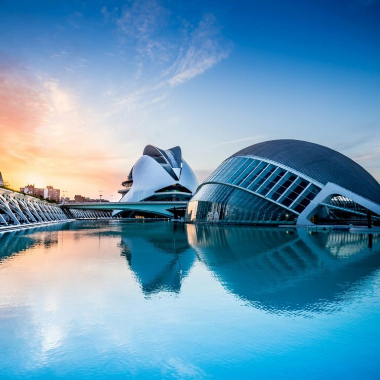 pexels-wwarby-19679313