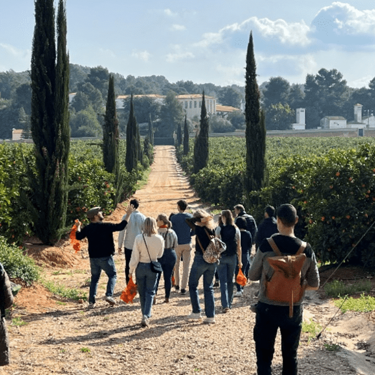 Huerto Ribera, Valencia