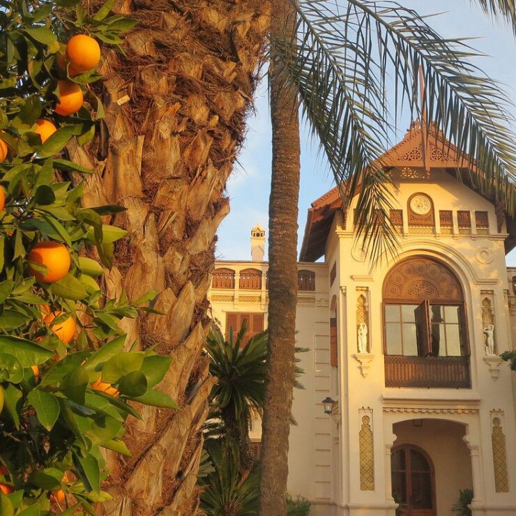 atardecer-huerto-san