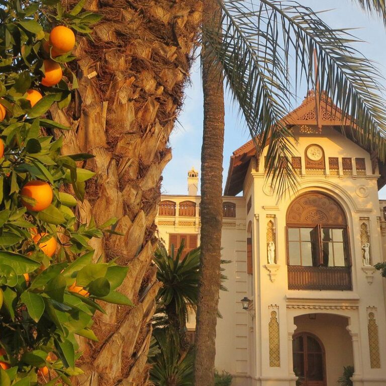 atardecer-huerto-san